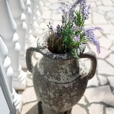 Apartment Moro Vrbnik